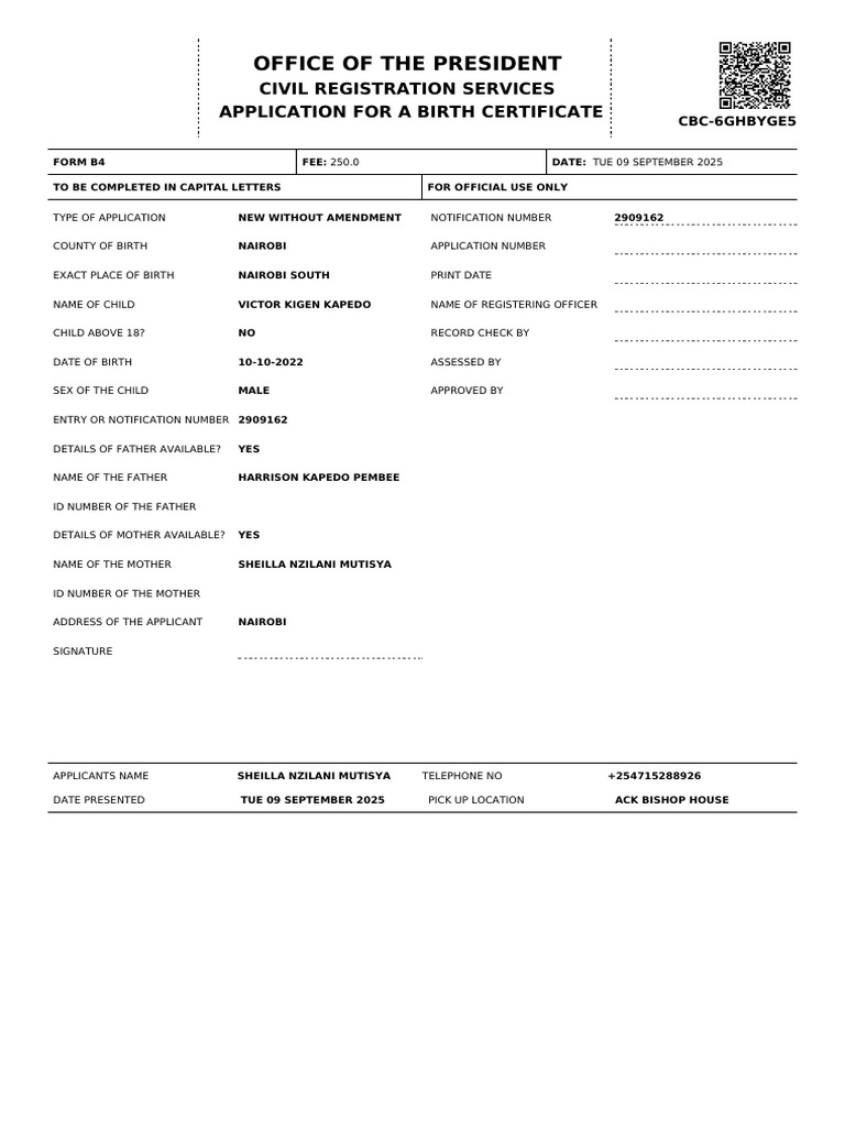 Birth Certificate Application Form B4 | PDF