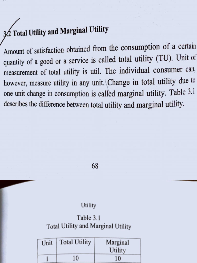 Total vs Marginal Utility Explained | PDF | Utility | Marginal Utility