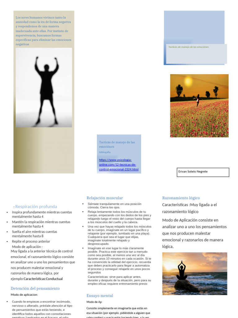 Técnicas para Manejo de Emociones Negativas | PDF | Las emociones ...