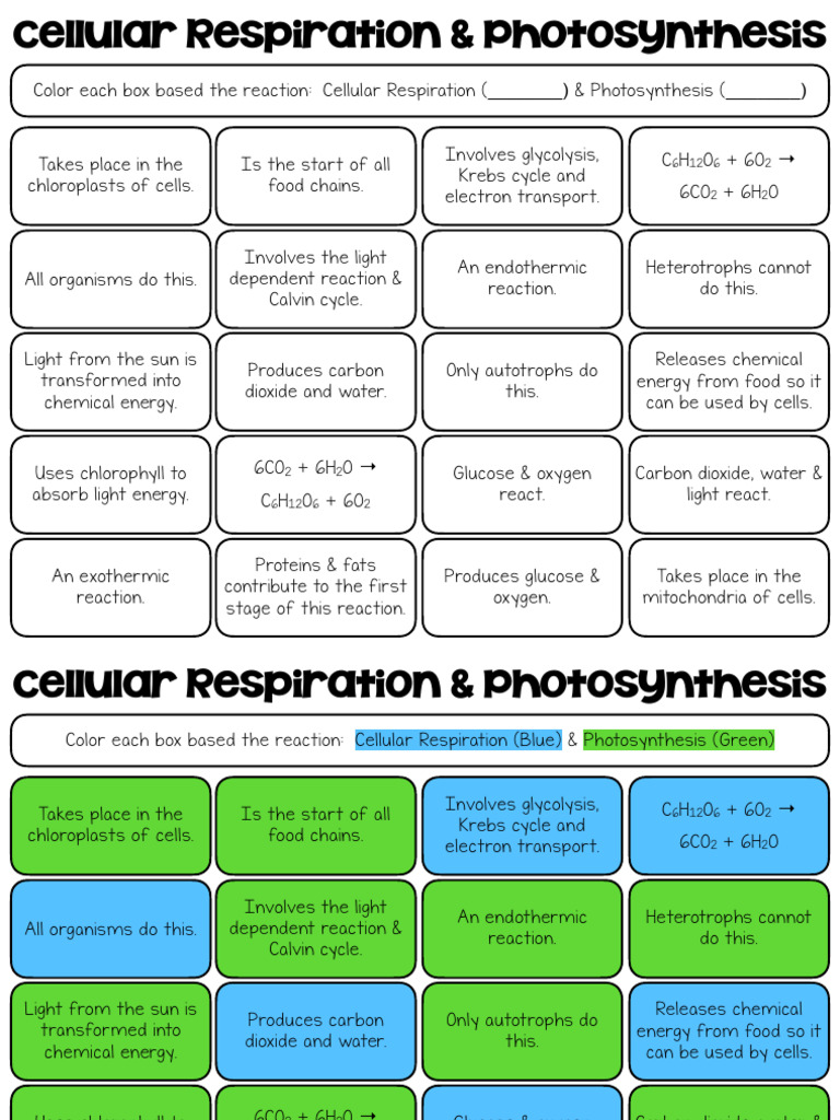 Autotrophs and Photosynthesis Explained | PDF | Cellular Respiration ...