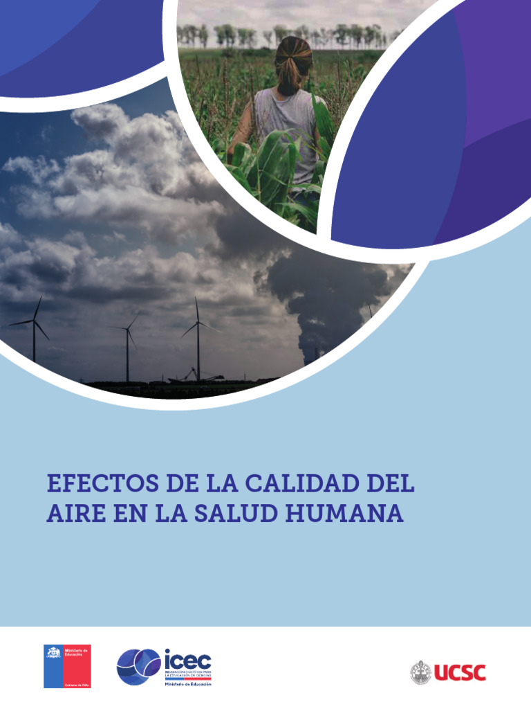 Efectos de La Calidad Del Aire en La Salud Humana | PDF | Plan de ...