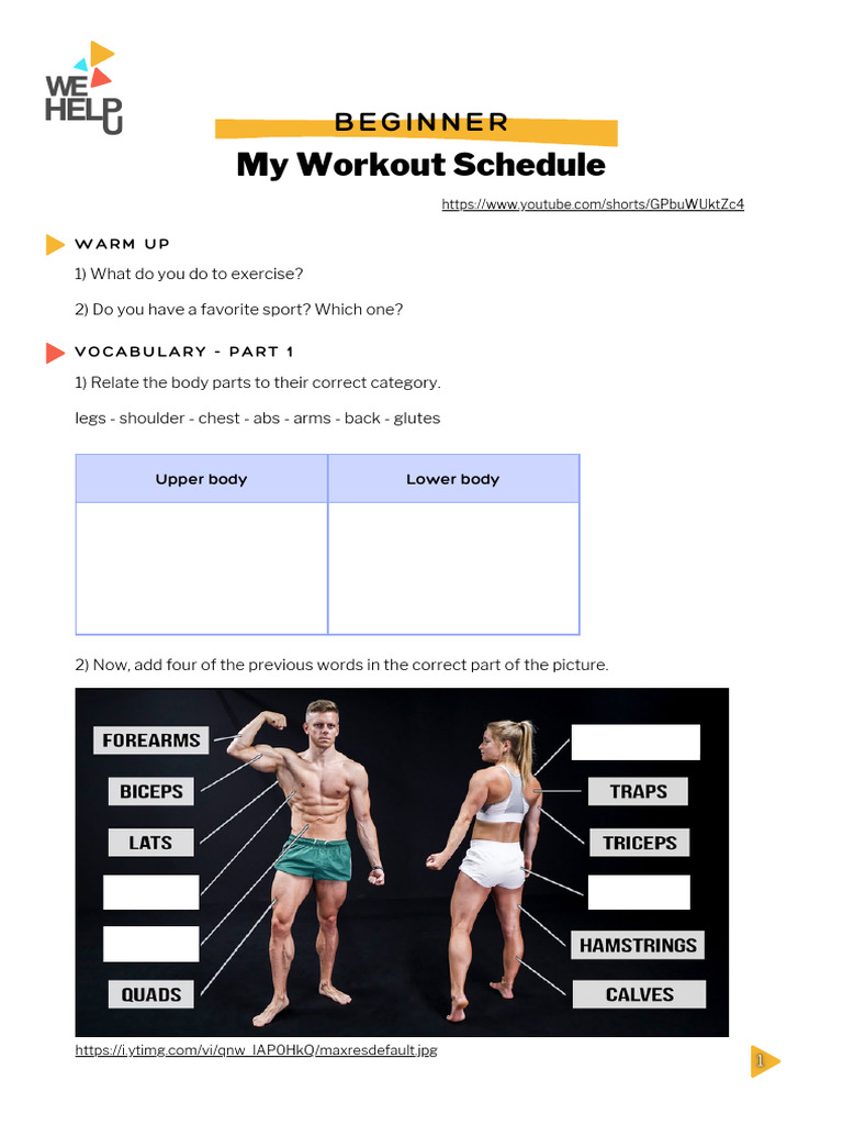 My Workout Schedule - Beginner | PDF