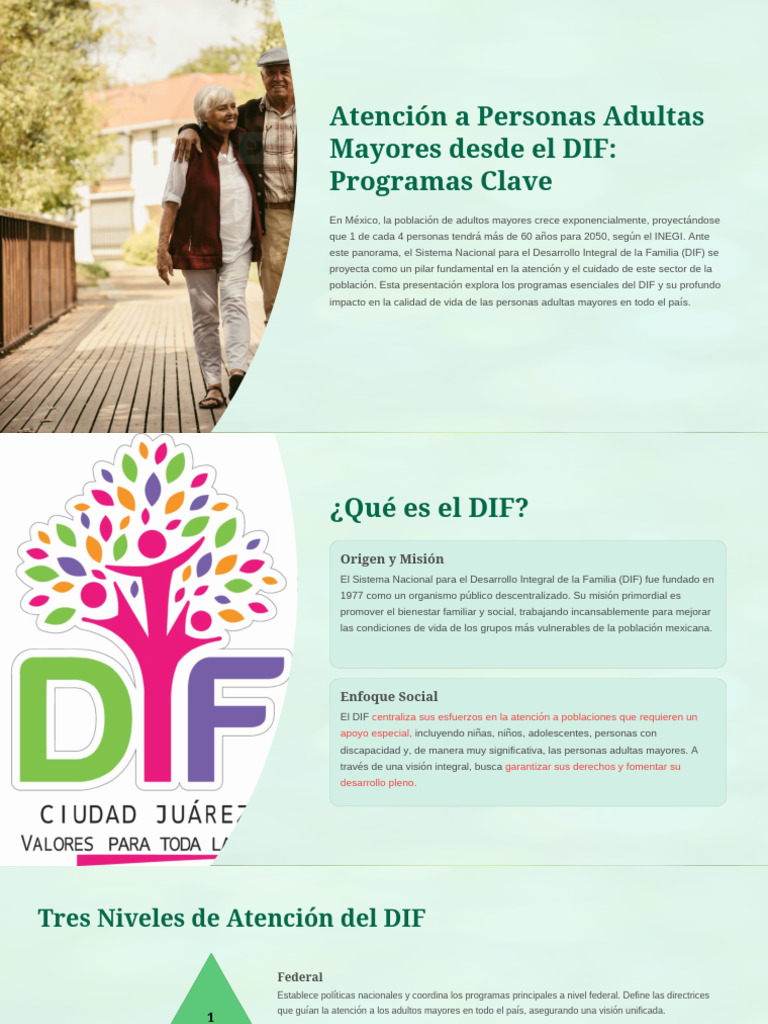 Programas del DIF para Adultos Mayores | PDF | Vejez | Cuidado de la salud
