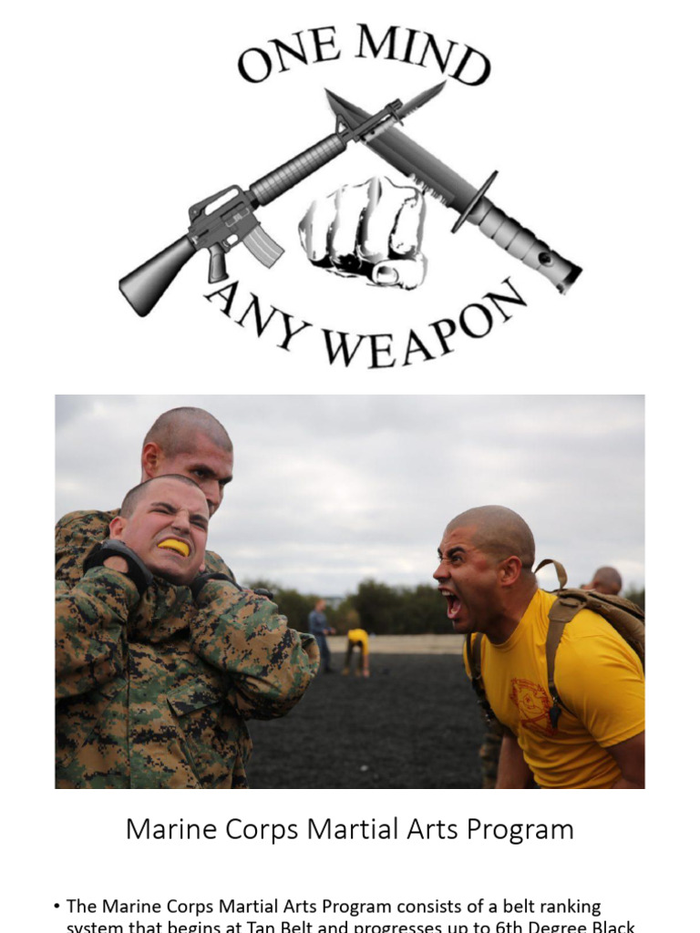 MCMAP Tan Belt Techniques Overview | PDF