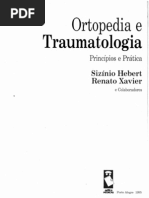 fraturas-quadril-adulto