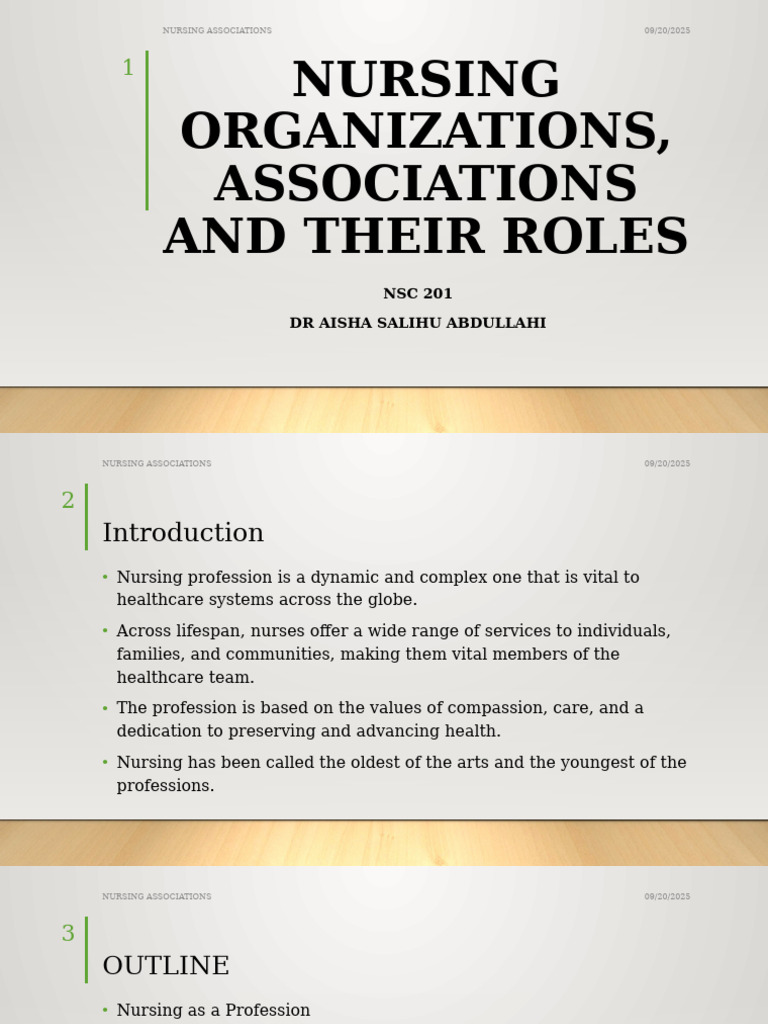 Nursing Organizations, Associations and Their Roles | PDF | Midwife ...