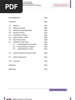 Download Malaysia Construction Labour Rate by Khairul Hafizwan Jabar SN91968673 doc pdf