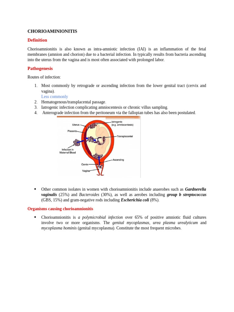 Understanding Chorioamnionitis Risks | PDF | Preterm Birth | Maternal ...