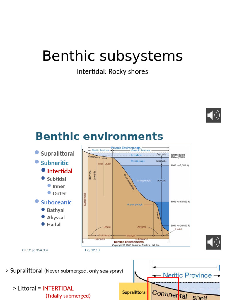Benthic Organisms and Rocky Shore Zonation | PDF | Benthic Zone | Coast