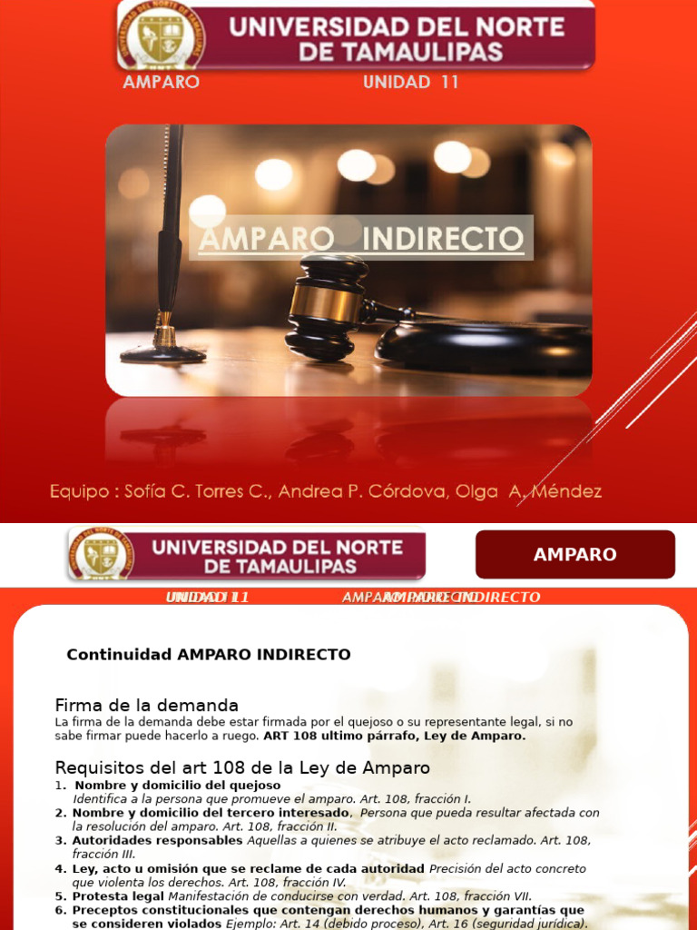 Requisitos y Proceso del Amparo Indirecto | PDF | Debido al proceso ...