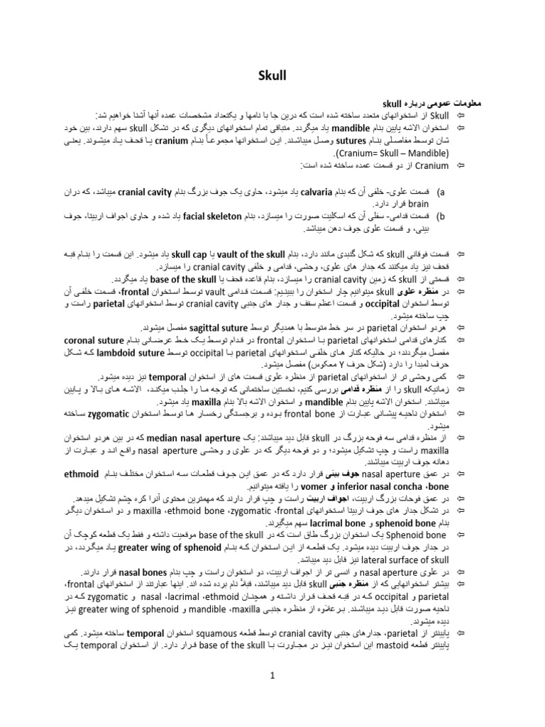 Skull Notes | PDF