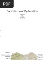 SIJ Stability: Form and Force Closure | PDF | Pelvis | Vertebral Column