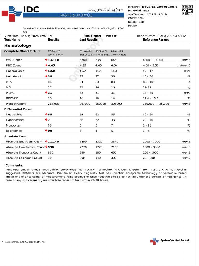 Patient Report PDF | PDF