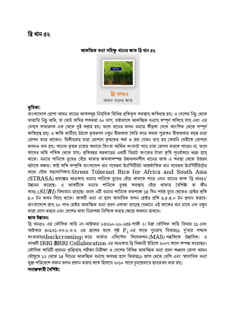 BRRI Dhan 52 | PDF