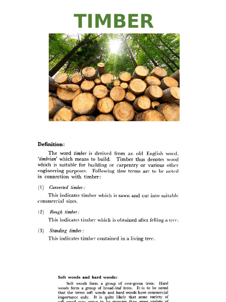 Timber Seasoning Process Explained | PDF
