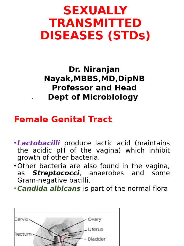 Stis Introd Lecture 10.08.25 | PDF | Sexually Transmitted Infection ...