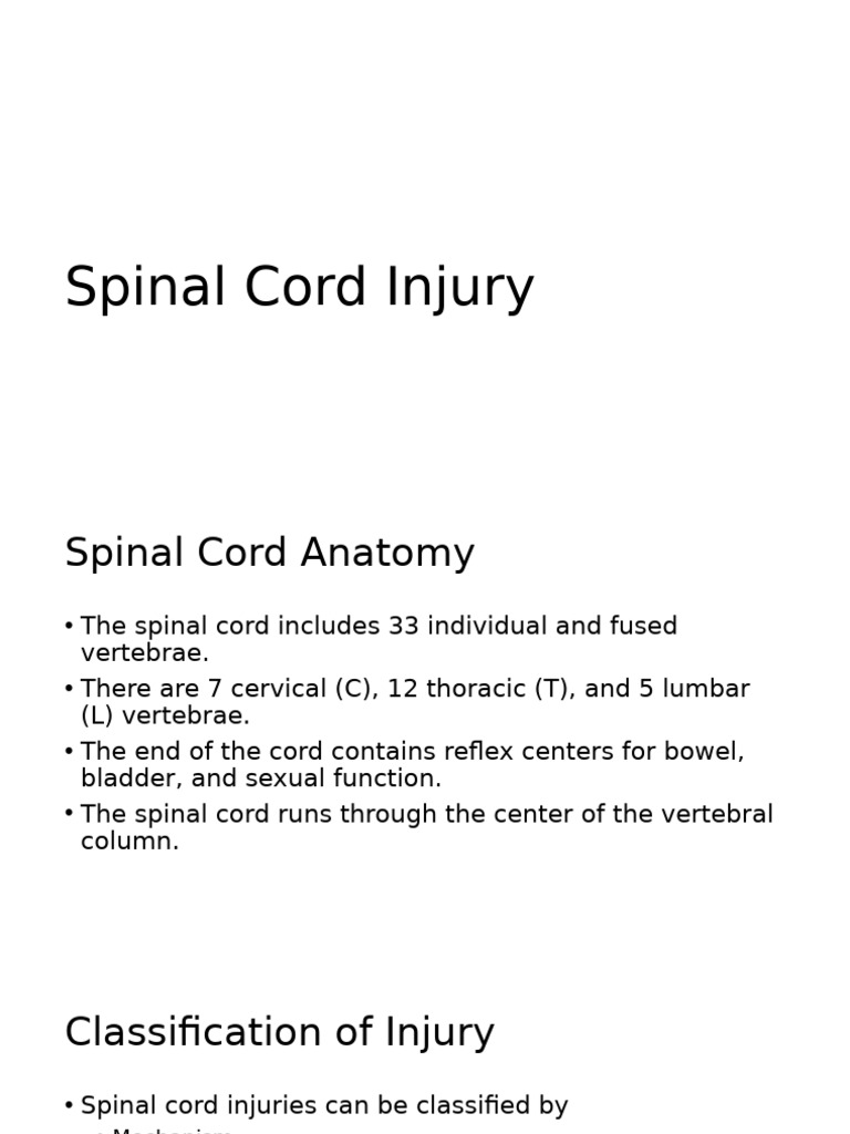 Understanding Spinal Cord Injuries | PDF | Spinal Cord | Spinal Cord Injury