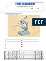 Ficha Microscópio