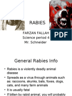 Rabies: Farzan Fallah Science Period 4 Mr. Schneider