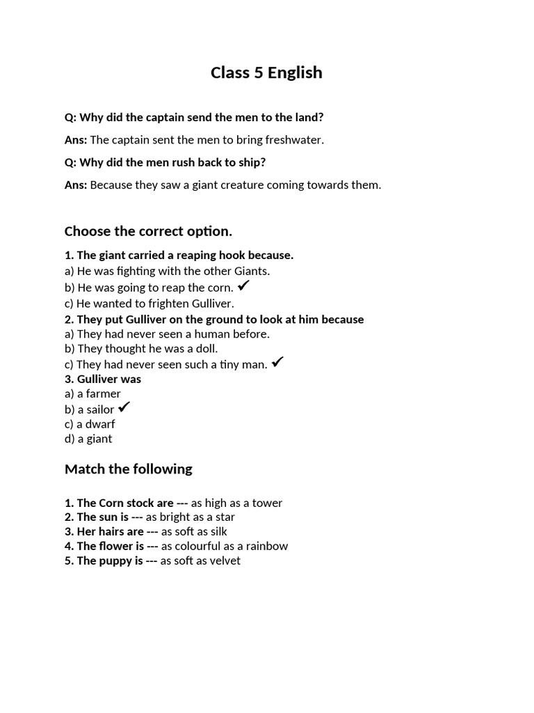 Class 5 English Grammar and Comprehension | PDF