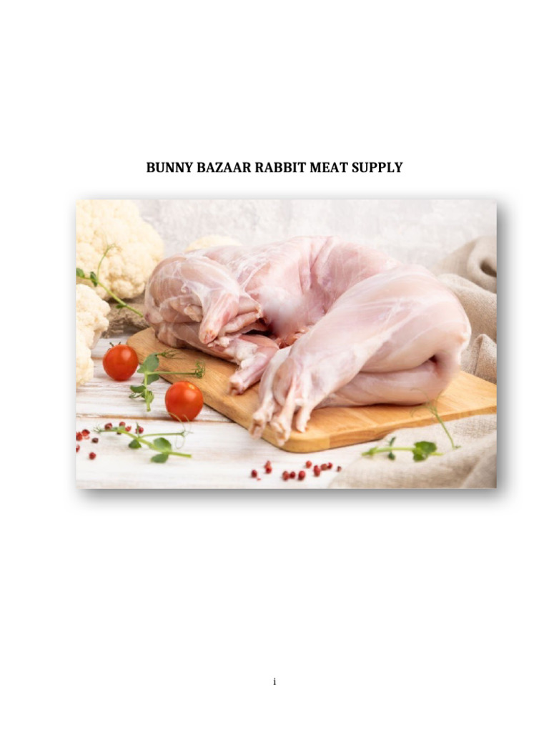Bunny Bazaar Rabbit Meat Supply | PDF | Marketing | Equity (Finance)