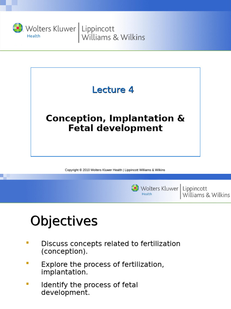 Conception and Fetal Development Overview | PDF | Placenta | Fertilisation