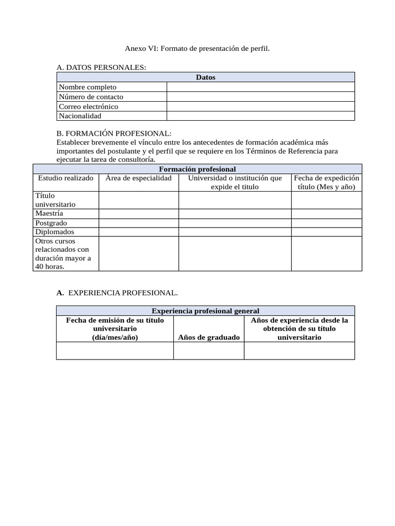 Formato de Perfil Profesional para Consultoría | PDF