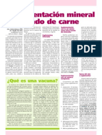 Periódico Lechuza Roja - Suplementación Mineral en Ganado de Carne