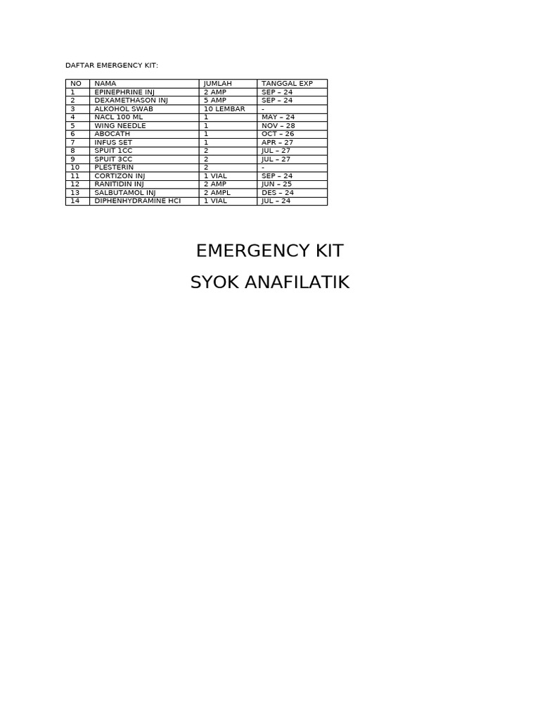 Emergency Kit Inventory List | PDF