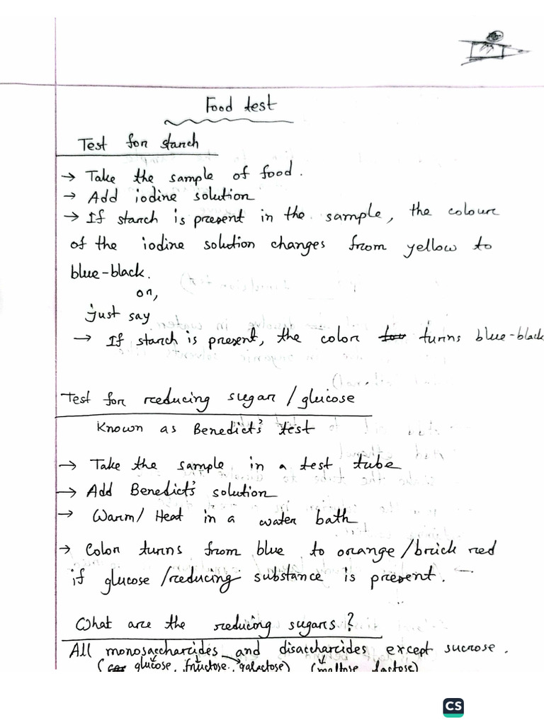 Food Tests | PDF
