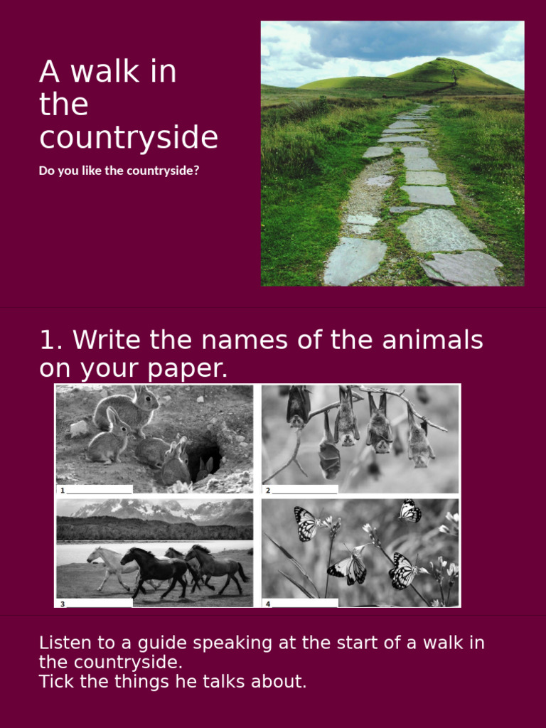 Countryside Walk Planning Guide | PDF