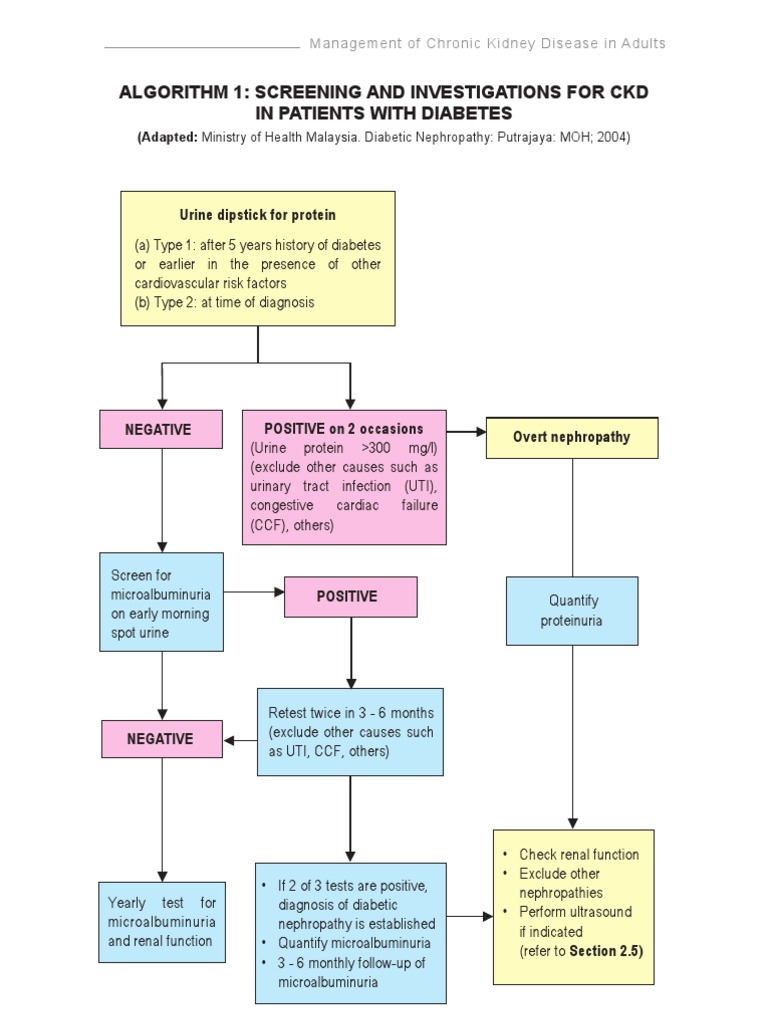 CPG Management of Chronic Kidney Disease in Adults June 2011 | PDF ...