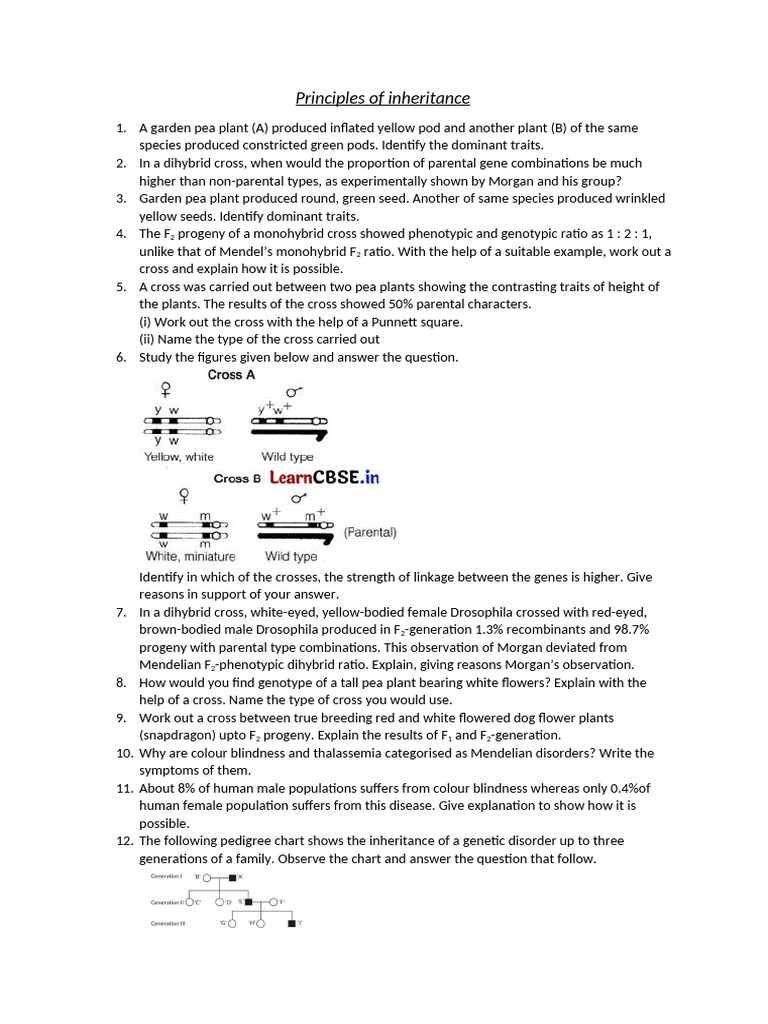 Principles of Inheritance Explained | PDF | Genotype | Dominance (Genetics)