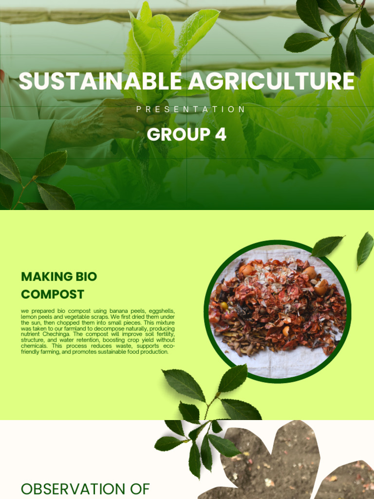 Bio Compost and Sustainable Farming Guide | PDF