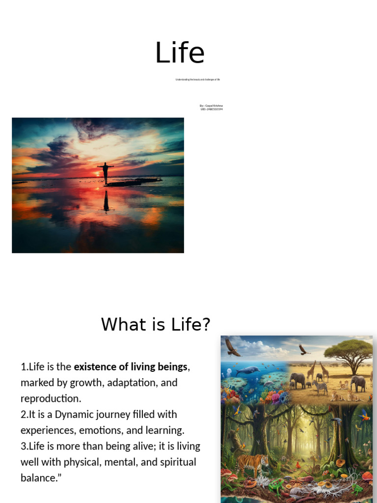 24BCS10194 Life | PDF