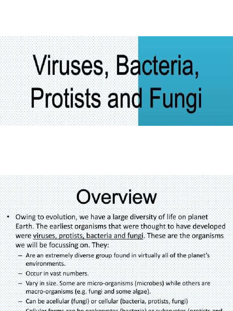 Virus Bacteria Fungi | PDF