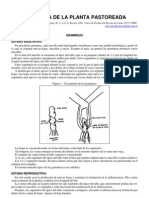 04-Fisiologia de La Planta A