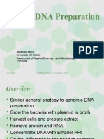Plasmid DNA Preparation