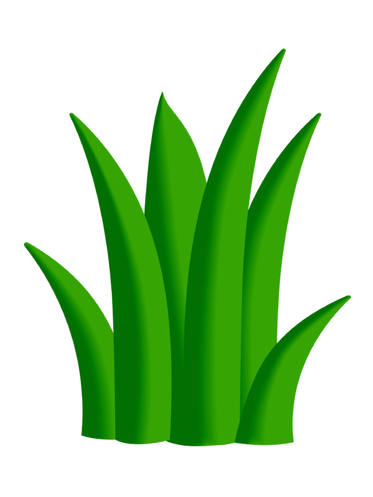 Rumput | PDF