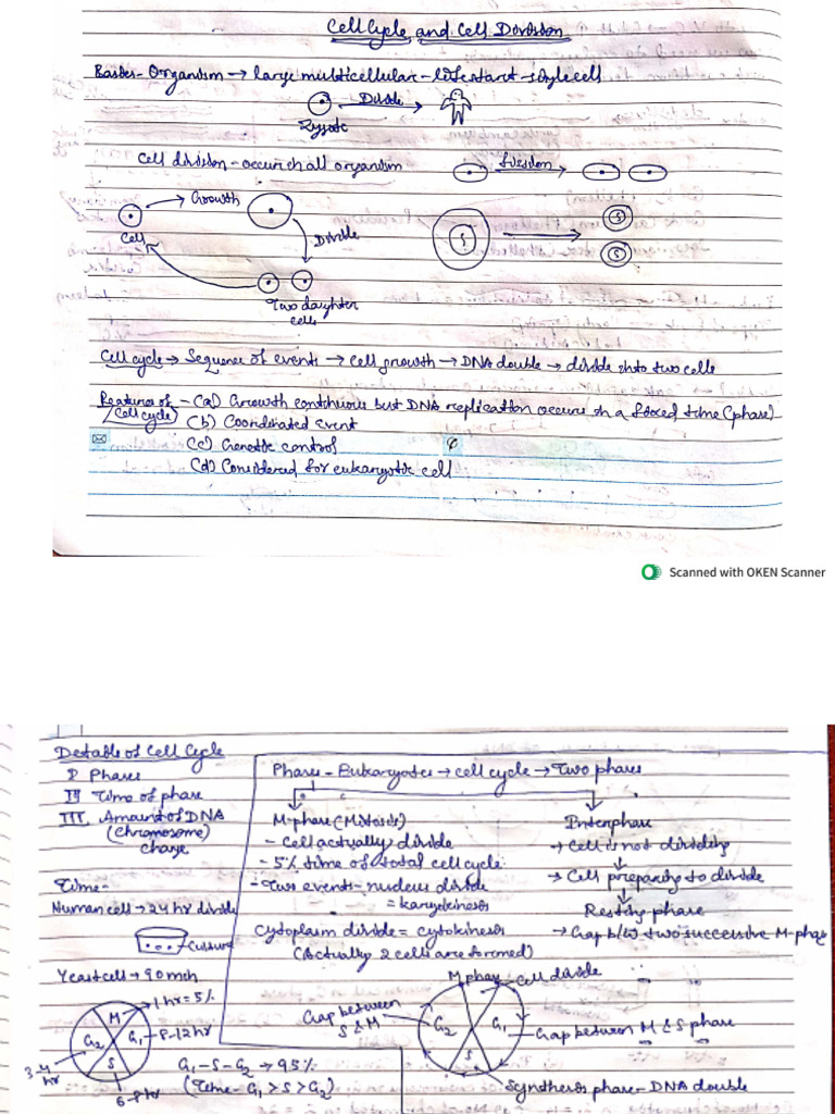 Cell Cycle and Cell Division | PDF