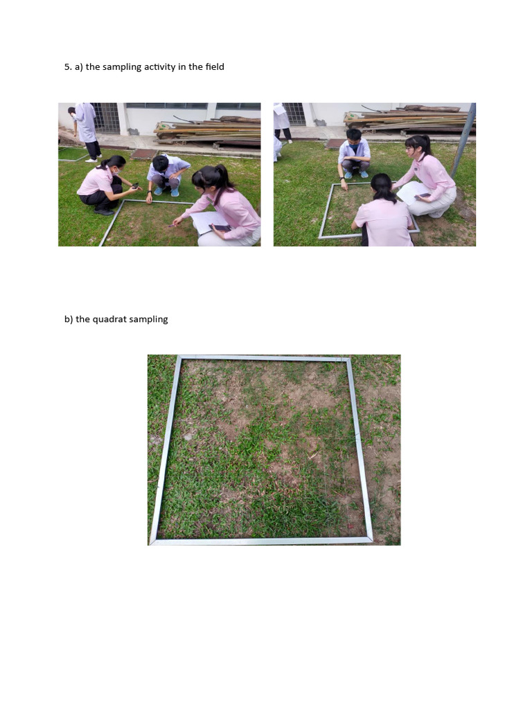 Field Quadrat Sampling of Plant Species | PDF