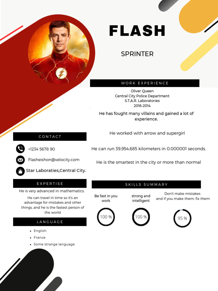 Flash CV | PDF