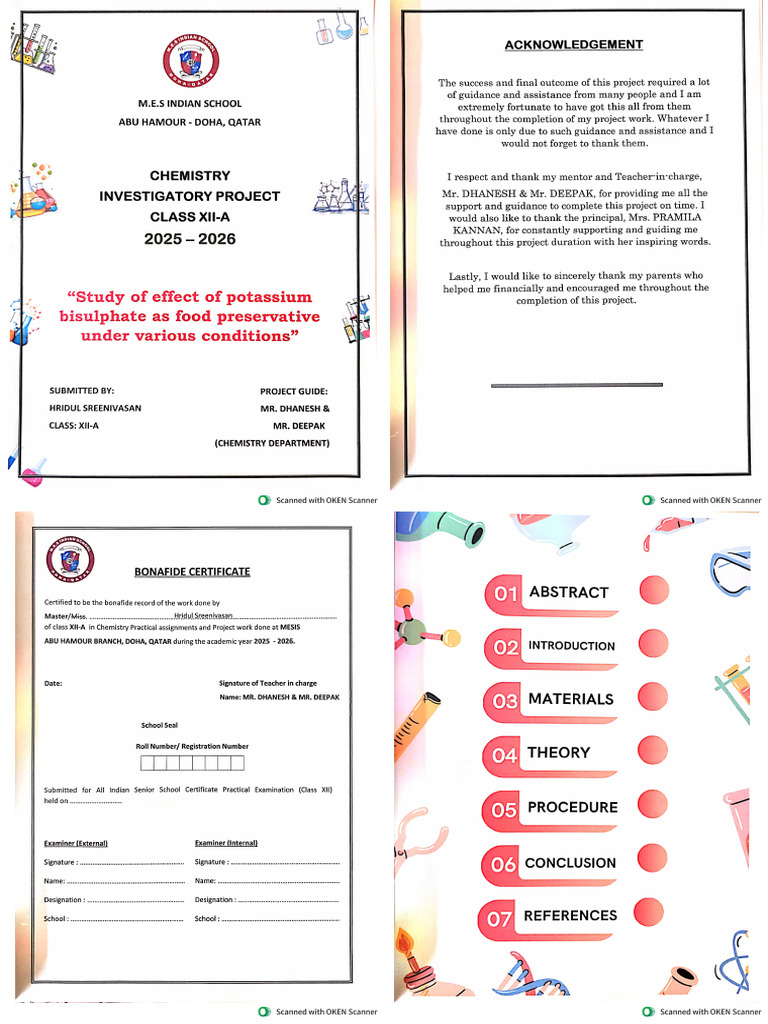 Chemistry Project Potassium Bi Sulphate | PDF