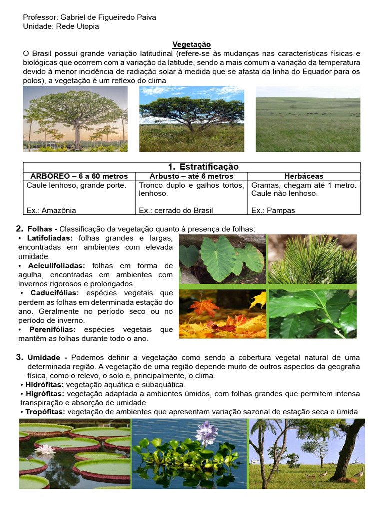 Biomas e Vegetação do Brasil | PDF | Floresta Amazônica | Geografia Física