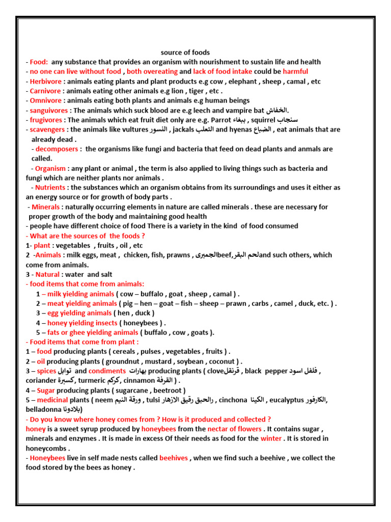 Understanding Food Sources and Types | PDF | Foods | Honey