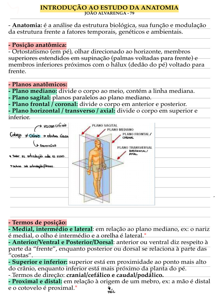 Fundamentos de Anatomia Humana | PDF | Anatomia | Movimentos anatômicos