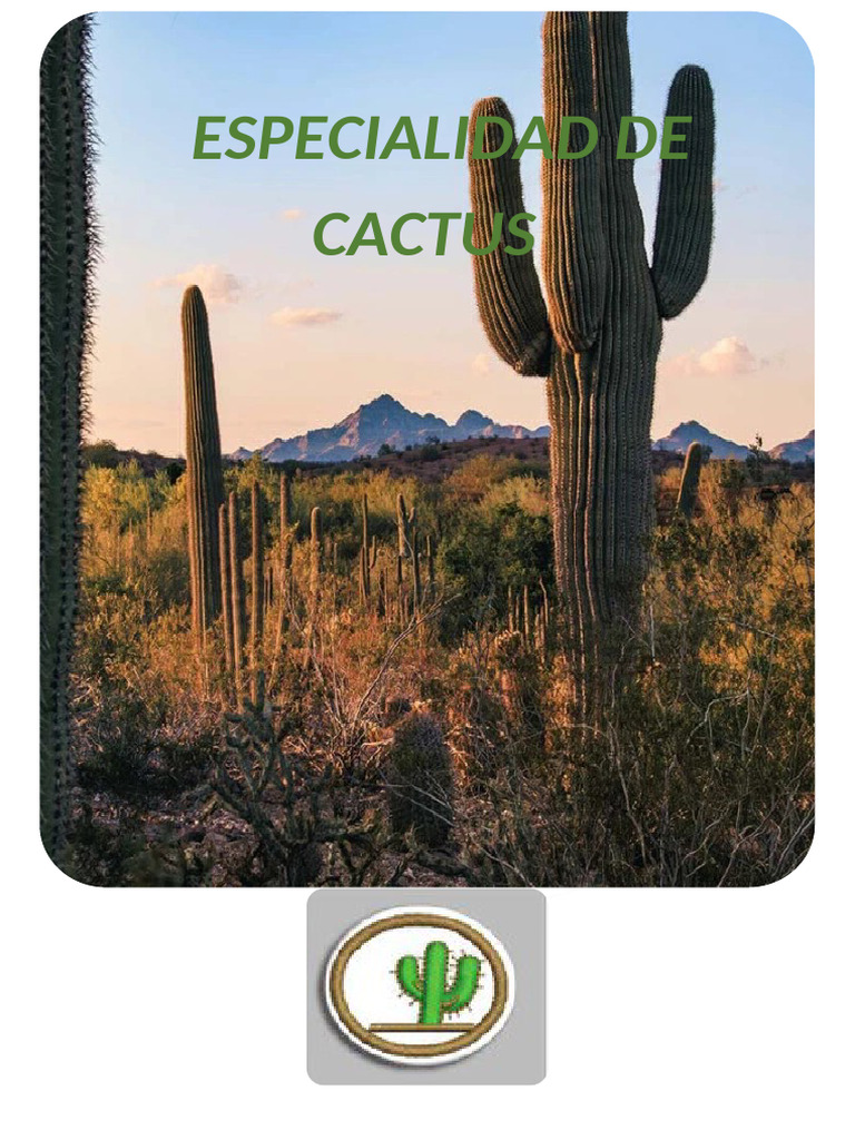 Características y Usos de los Cactus | PDF | Planta suculenta | Agua