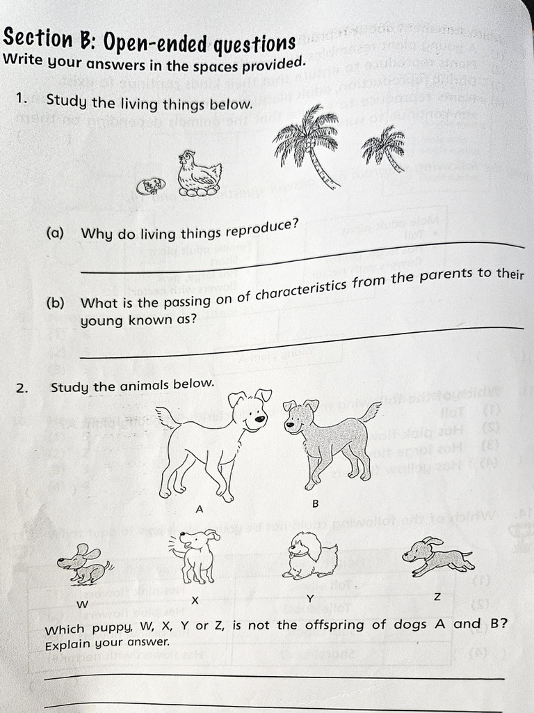 Worksheet Lesson 7 - 1 | PDF