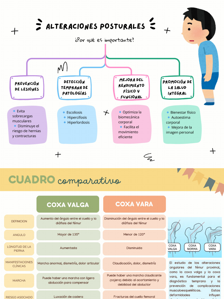 Grafica Mapa Conceptual Esquema Simple Multicolor | PDF