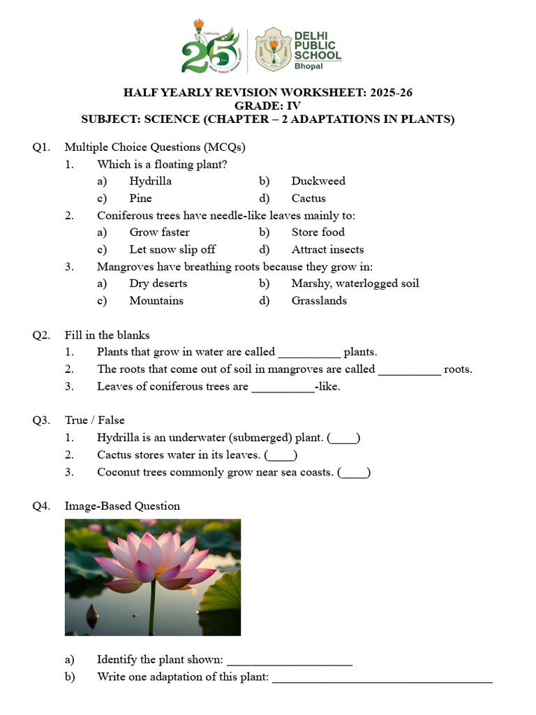 Grade IV Science: Plant Adaptations Worksheet | PDF | Trees | Leaf